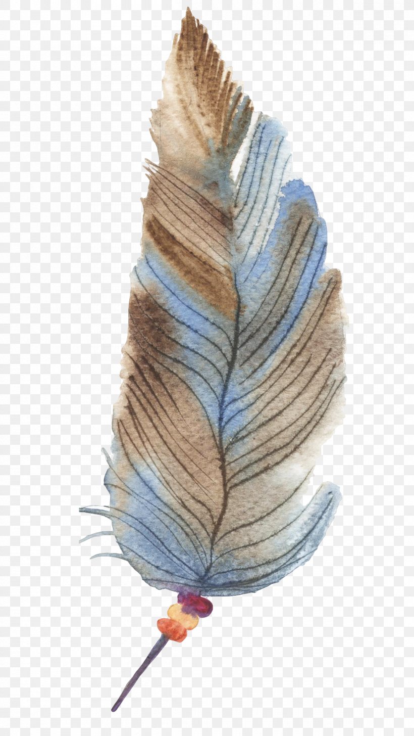 Feather Drawing, PNG, 1200x2132px, Feather, Designer, Diagram, Drawing Download Free