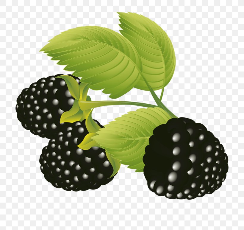 Frutti Di Bosco Fruit Blackberry Clip Art, PNG, 800x772px, Dewberry, Berry, Blackberry, Food, Fruit Download Free