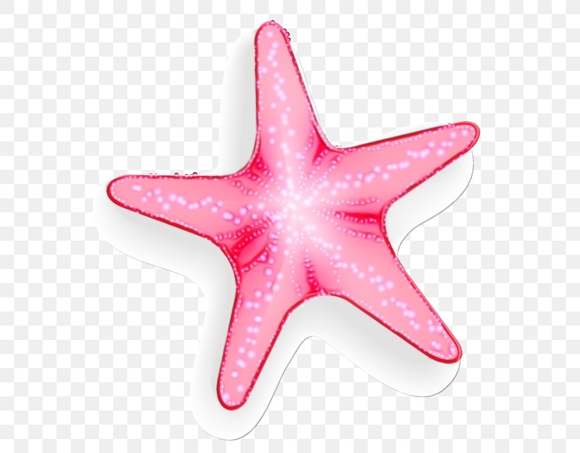 Starfish Pink Marine Invertebrates Star, PNG, 640x640px, Watercolor, Marine Invertebrates, Paint, Pink, Star Download Free