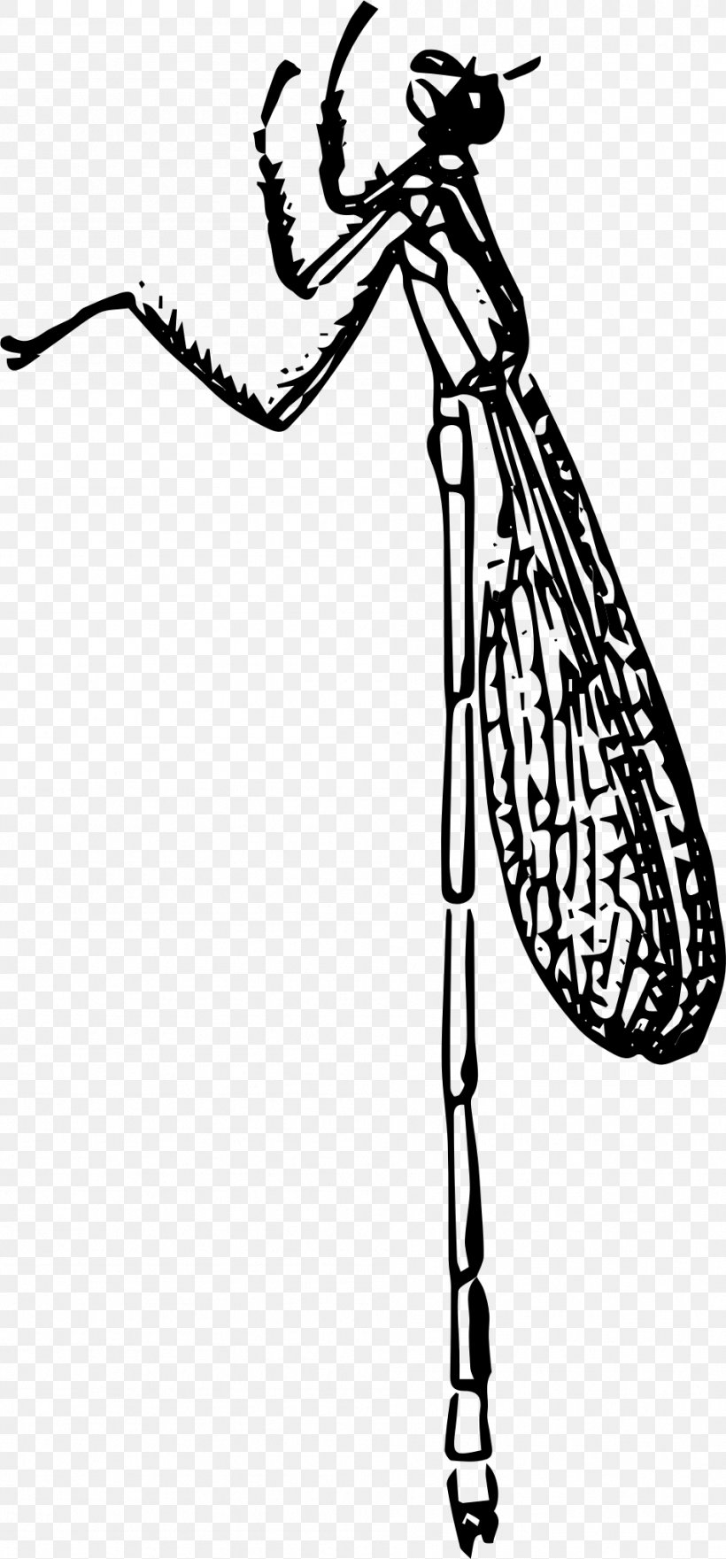 Damselflies Beetle Bird Butterfly Clip Art, PNG, 948x2036px, Damselflies, Animal, Area, Art, Beetle Download Free