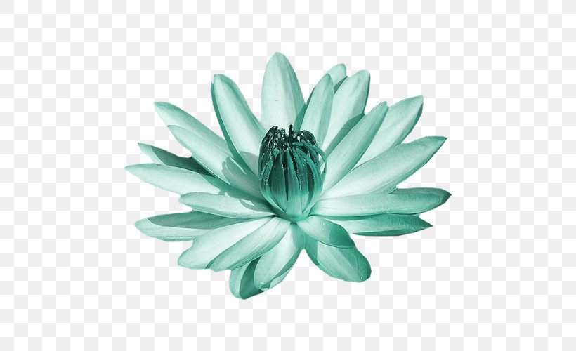 Green Turquoise, PNG, 500x500px, Green, Aqua, Flower, Petal, Turquoise Download Free