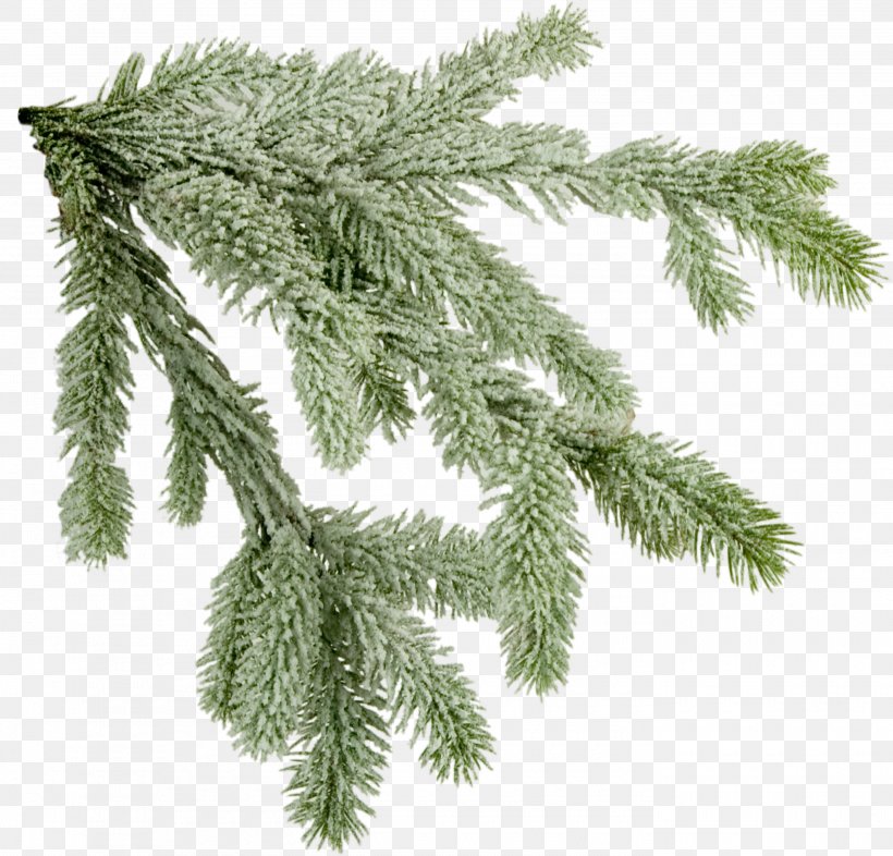 Norway Spruce Tree Fir Branch, PNG, 2800x2684px, Norway Spruce, Branch, Christmas Decoration, Christmas Ornament, Christmas Tree Download Free