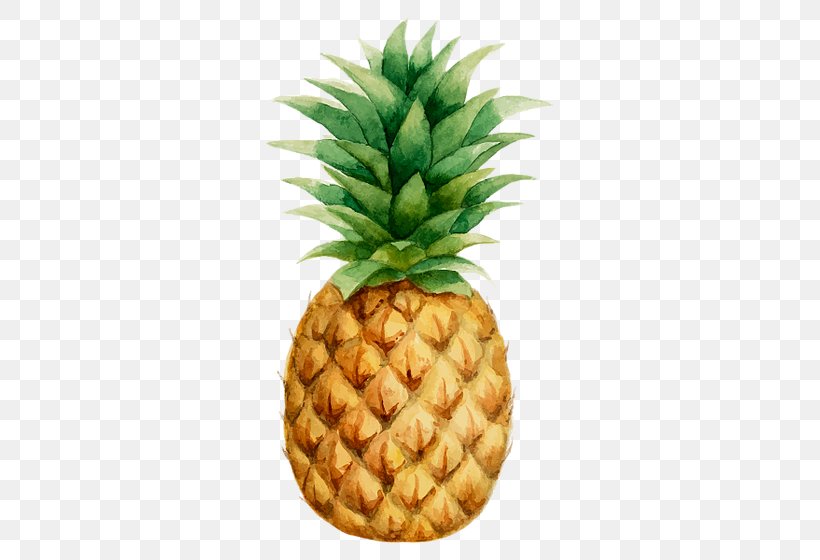 Pineapple Stock Photography Vector Graphics Drawing Tropical Fruit, PNG, 560x560px, Pineapple, Ananas, Bromeliaceae, Drawing, Food Download Free
