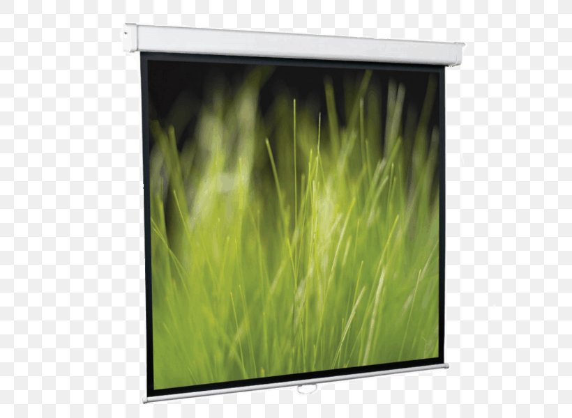 Projection Screens Display Device Computer Monitors Price Multimedia Projectors, PNG, 600x600px, Projection Screens, Artikel, Computer Monitor, Computer Monitors, Display Device Download Free