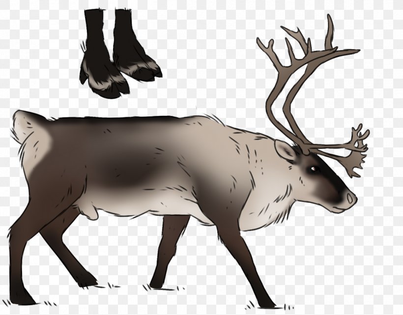 Reindeer Elk Vertebrate Cattle, PNG, 1351x1057px, Deer, Animal, Antler, Cattle, Cattle Like Mammal Download Free