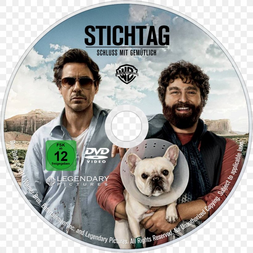 Todd Phillips Zach Galifianakis Due Date Peter Highman Going In Style, PNG, 1000x1000px, Todd Phillips, Brand, Comedy, Dog Breed, Dog Like Mammal Download Free