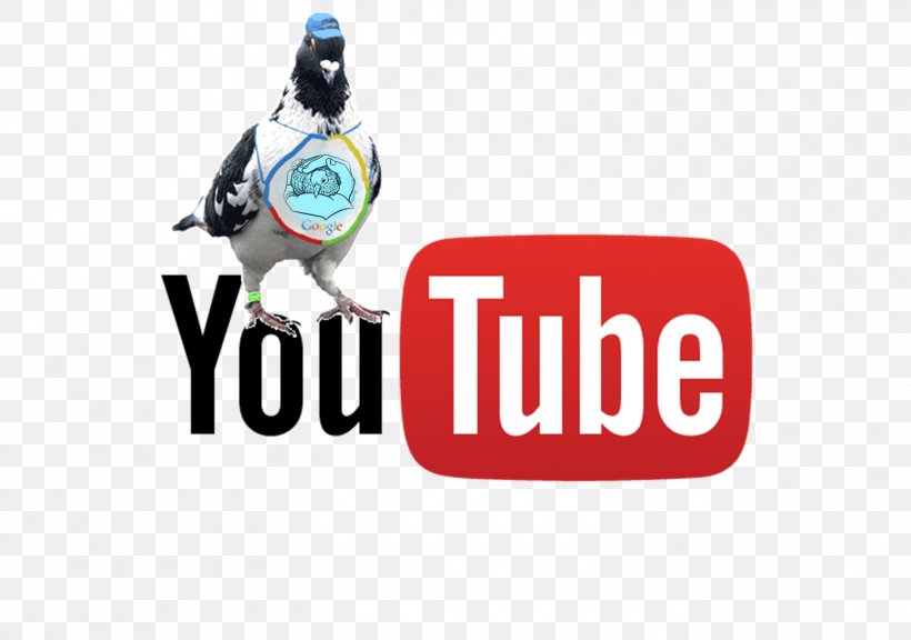 YouTube Live Streaming Media Television Show Video, PNG, 1458x1025px, Youtube, Brand, Broadcasting, Knowing, Logo Download Free