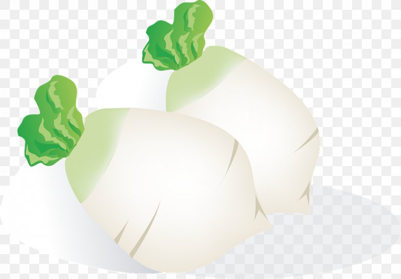 Daikon Vegetable Computer File, PNG, 960x669px, Daikon, Eating, Food, Fruit, Gratis Download Free