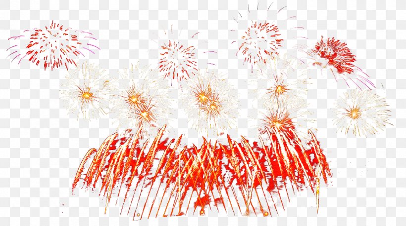 Fireworks Red Event Recreation Holiday, PNG, 1490x833px, Fireworks, Event, Holiday, Recreation, Red Download Free