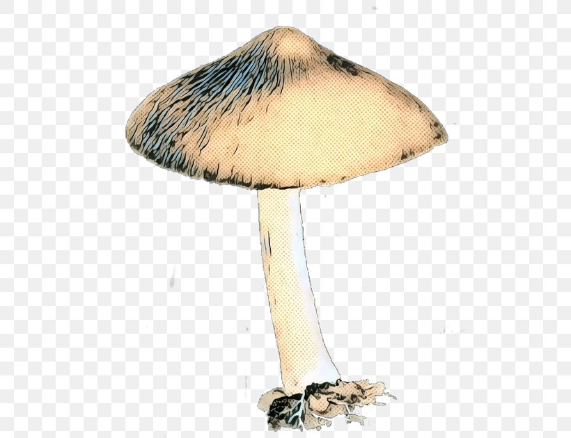 Mushroom, PNG, 519x630px, Mushroom, Agaricaceae, Agaricomycetes, Agaricus, Beige Download Free