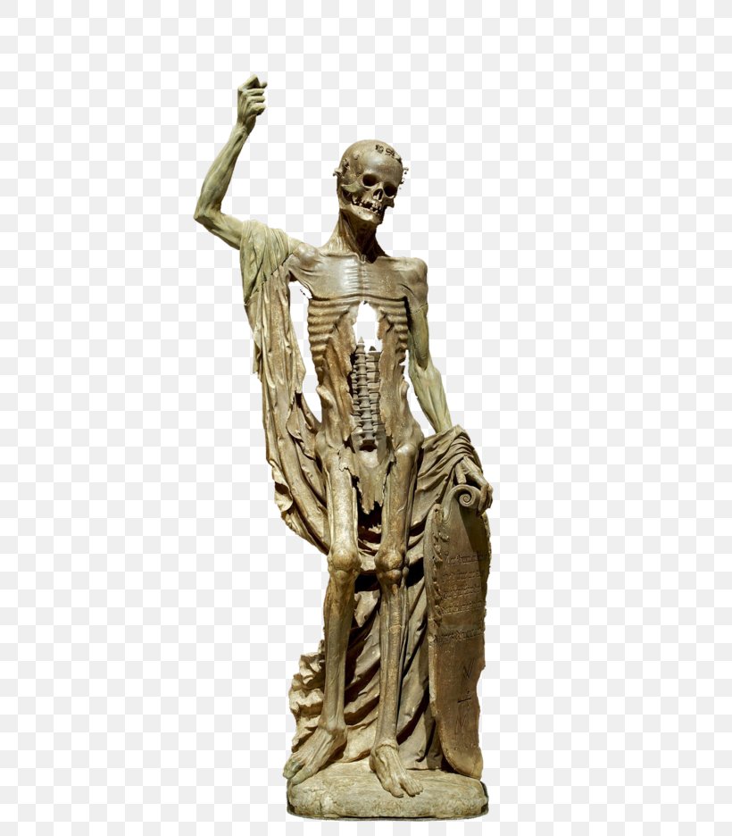 Skeleton Statue Martwa Natura Z Czaszką, PNG, 600x936px, Skeleton, Ancient History, Bronze Sculpture, Classical Sculpture, Death Download Free