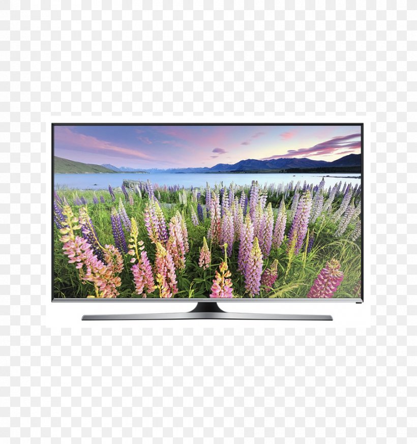 Smart TV Samsung LED-backlit LCD Television Set 1080p, PNG, 900x959px, 4k Resolution, Smart Tv, Computer Monitors, Flower, Grass Download Free
