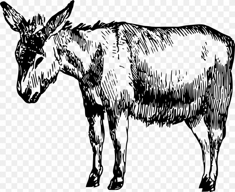 Drawing Donkey Art, PNG, 2400x1964px, Drawing, Art, Black And White, Canvas Print, Cattle Like Mammal Download Free