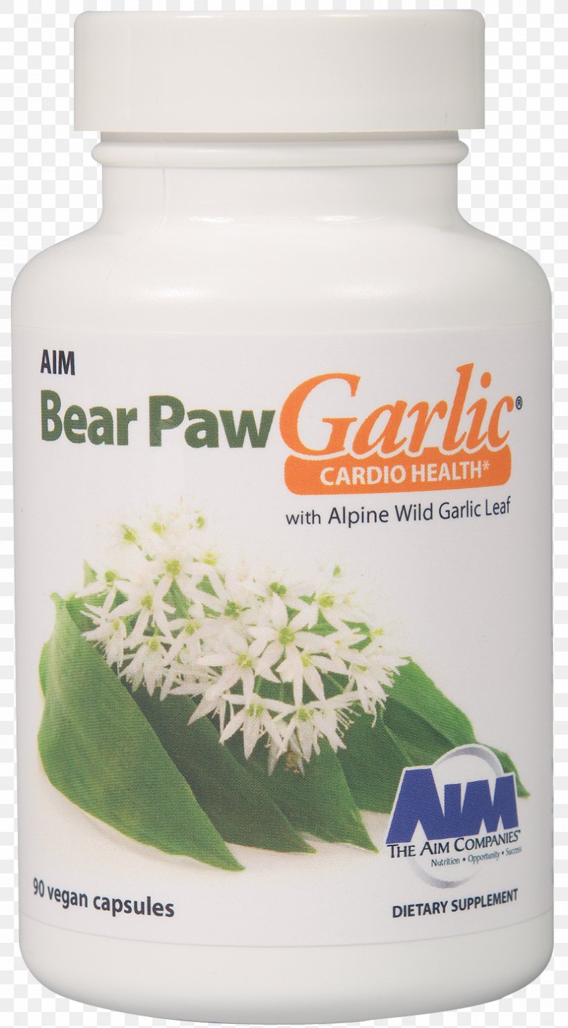 Garlic Bear Paw Ramsons Health, PNG, 829x1500px, Garlic, Aquarium, Bear, Capsule, Dietary Supplement Download Free