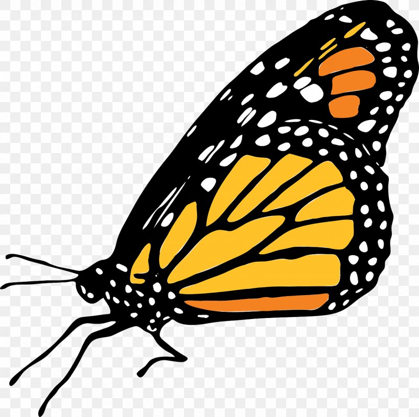 Monarch Butterfly Clip Art, PNG, 1280x1276px, Butterfly, Arthropod, Artwork, Brush Footed Butterfly, Brushfooted Butterflies Download Free