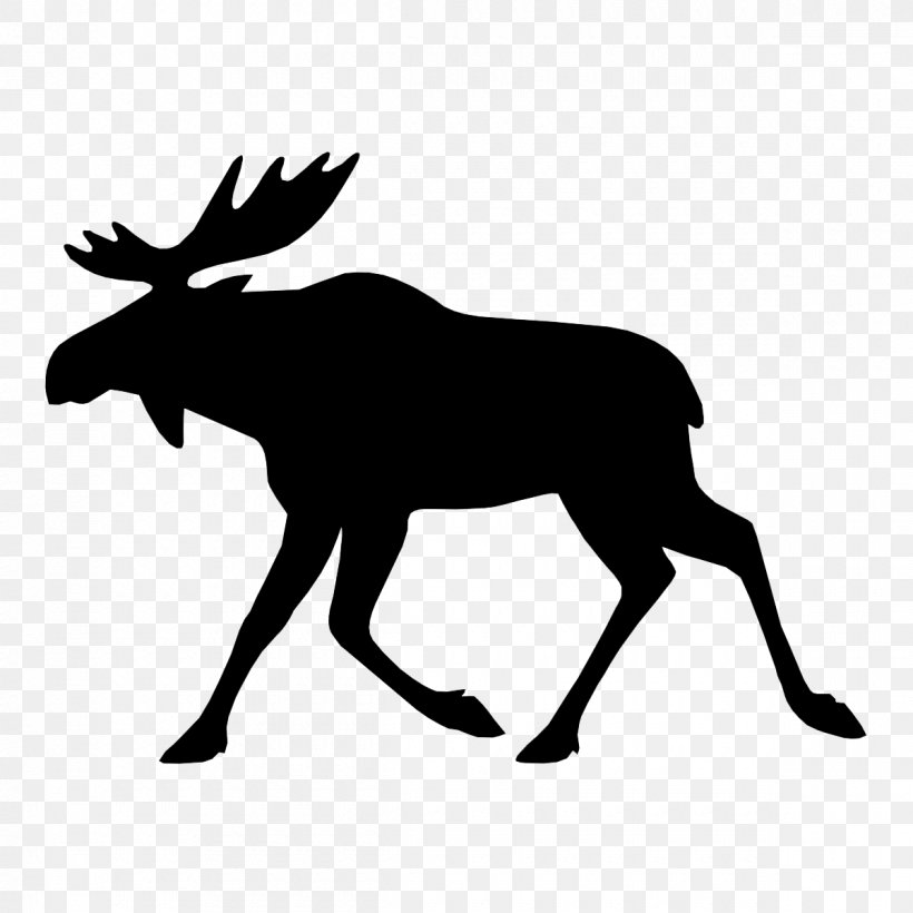 Moose Deer Elk Royalty-free, PNG, 1200x1200px, Moose, Antler, Bear Hunting, Black And White, Deer Download Free