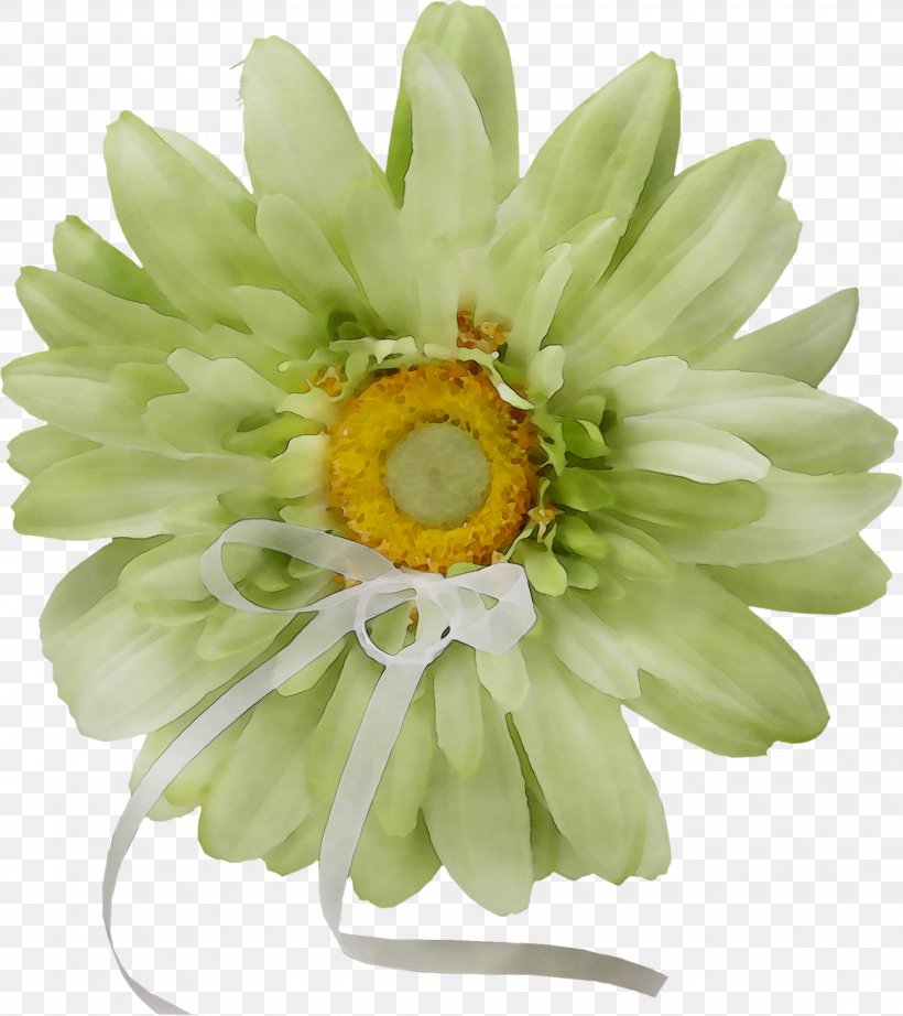 Transvaal Daisy Cut Flowers, PNG, 2068x2327px, Transvaal Daisy, Artificial Flower, Aster, Barberton Daisy, Cut Flowers Download Free