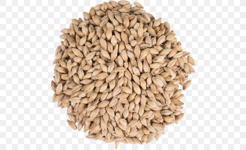 Oat Beer Bird Food Malt, PNG, 500x500px, Oat, Avena, Beer, Beer Brewing Grains Malts, Bird Download Free