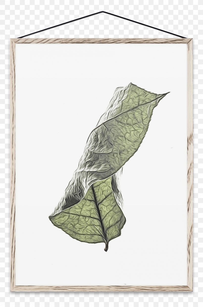 Background Poster, PNG, 900x1361px, Paper Collective, Anthurium, Drawing, Leaf, Moebe Download Free