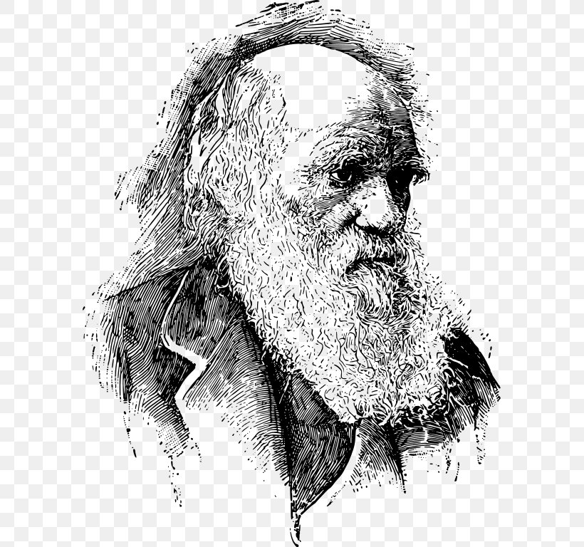 On The Origin Of Species Evolutionary Medicine Evolutionary Psychology Darwinism, PNG, 587x768px, On The Origin Of Species, Abiogenesis, Adaptation, Art, Artwork Download Free