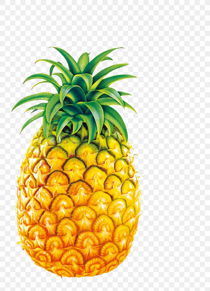 Pineapple Juice Fruit Bromelain Clip Art, PNG, 1344x1860px, Pineapple, Ananas, Bromelain, Bromeliaceae, Coconut Download Free