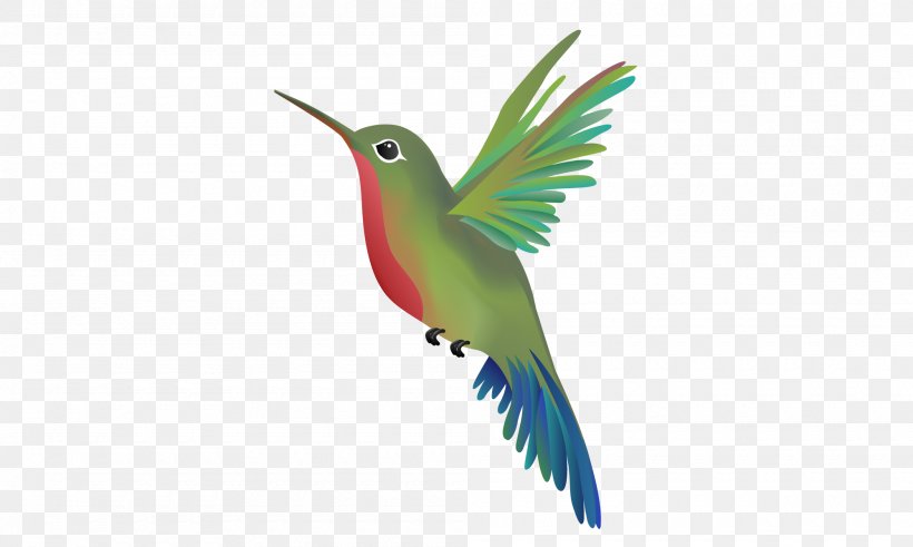 Wandering Hummingbird Massage Beak Parrot, PNG, 2000x1200px, Hummingbird, Beak, Bird, Business, Business Plan Download Free