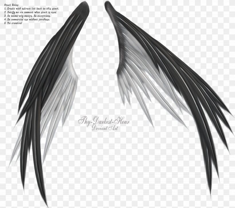 Wing Information Black And White, PNG, 7012x6208px, Wing, Bit, Black And White, Darkest Hour, Data Download Free