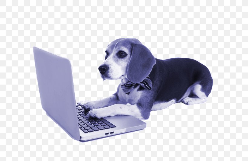 Beagle Stock Photography Puppy Laptop Shetland Sheepdog, PNG, 662x533px, Beagle, Companion Dog, Computer, Dog, Dog Breed Download Free