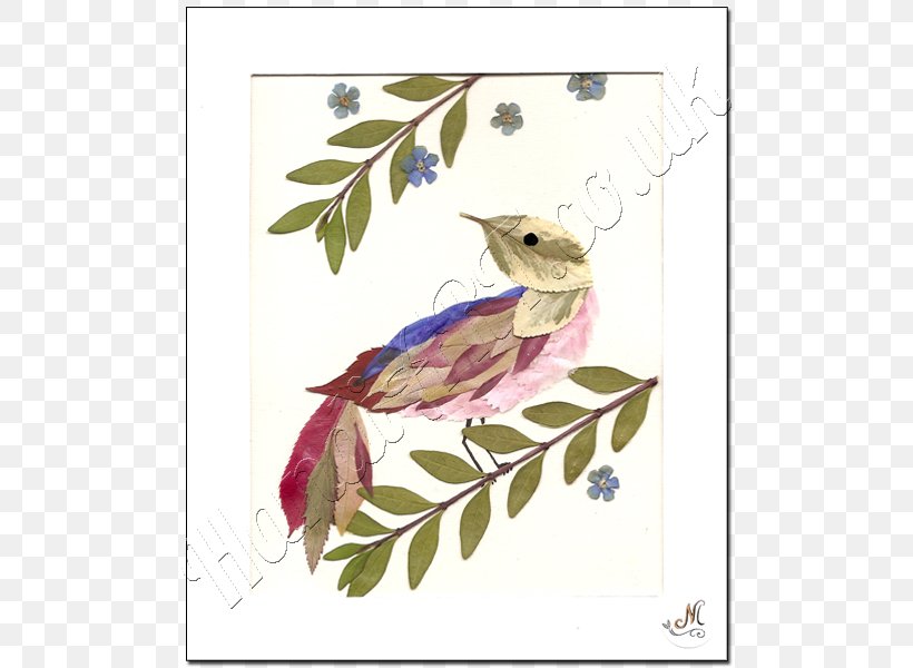 Beak Fauna Character Feather Flowering Plant, PNG, 600x600px, Beak, Art, Arts, Bird, Branch Download Free