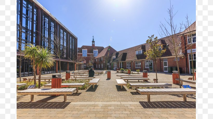 Brighton Hove & Sussex Sixth Form College Block Paving Antique Pavement Retro Style, PNG, 809x460px, Block Paving, Antique, Apartment, Building, Campus Download Free