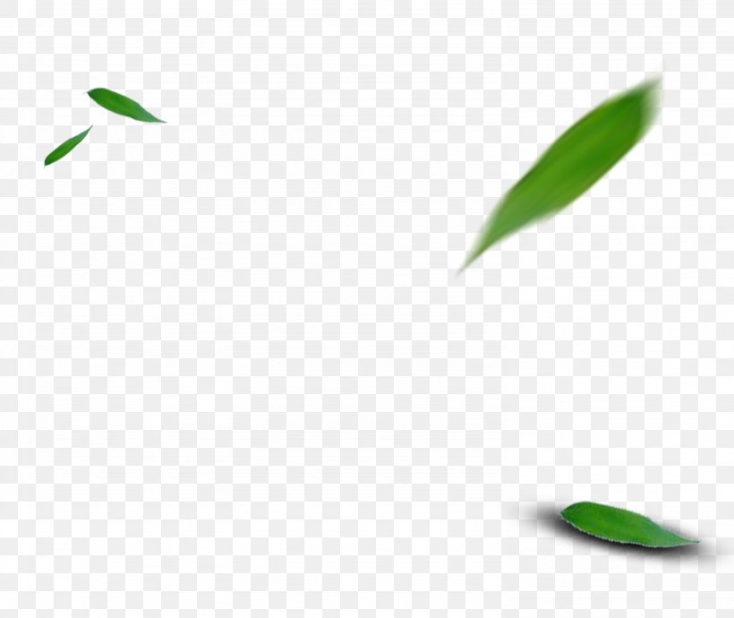 Green Leaf Pattern, PNG, 2971x2500px, Green, Grass, Leaf Download Free