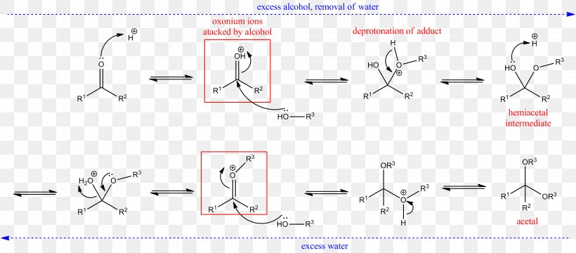 Hemiacetal Tetrahedral Carbonyl Addition Compound Carbonyl Group Hydrolysis, PNG, 3126x1375px, Acetal, Acid Catalysis, Amide, Area, Carbonyl Group Download Free