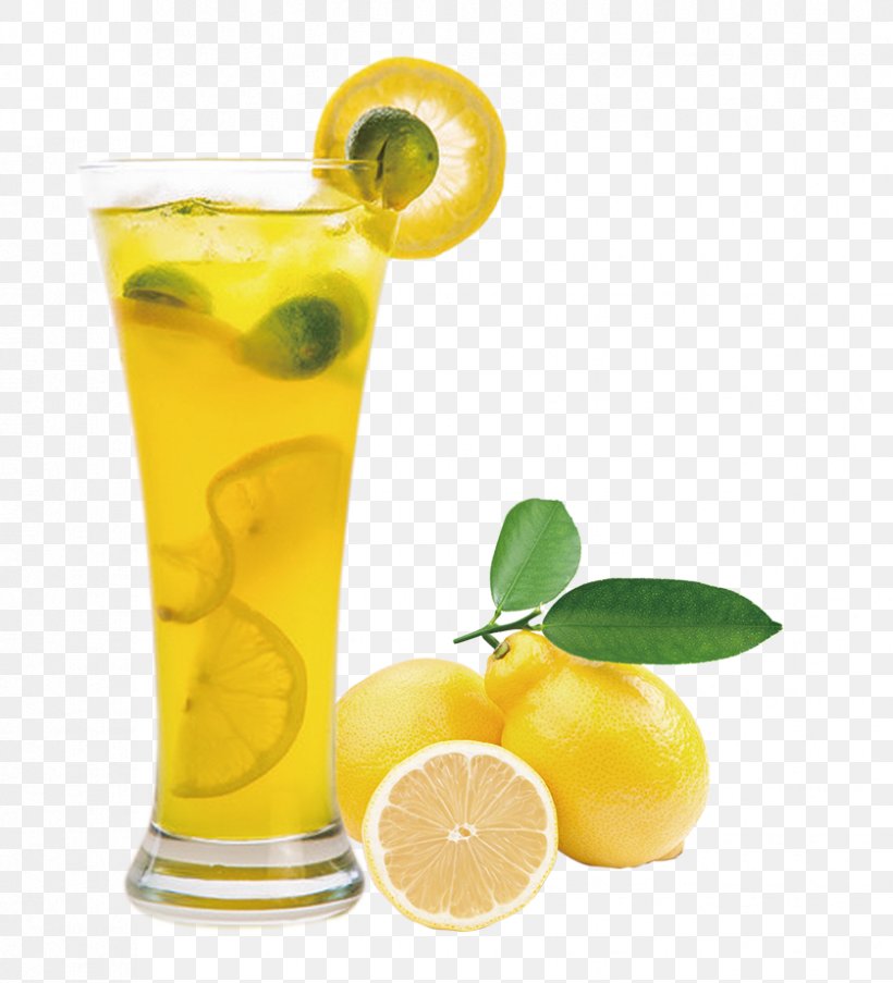 Juice Lemon Balm Extract Fruit, PNG, 838x923px, Juice, Citric Acid, Citrus, Citrus Medica Var Dulcis, Cocktail Download Free