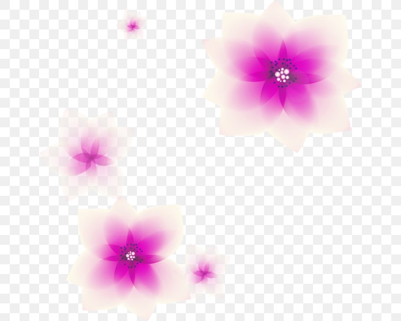 Petal Computer Pattern, PNG, 658x656px, Petal, Computer, Flower, Lilac, Magenta Download Free