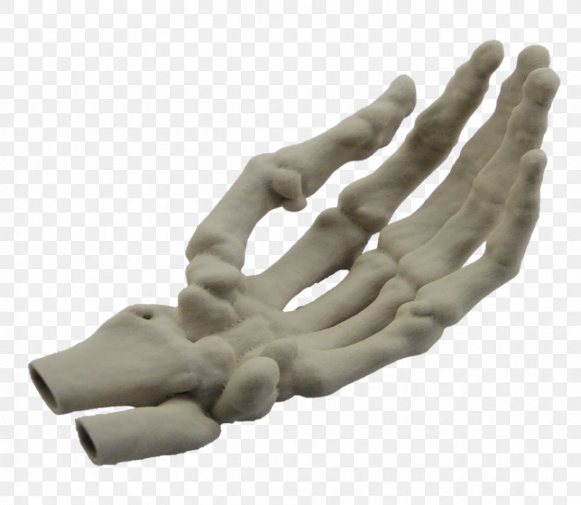 Hand Model Finger Human Skeleton, PNG, 883x768px, 3d Printing, Hand Model, Anatomy, Arm, Bone Download Free