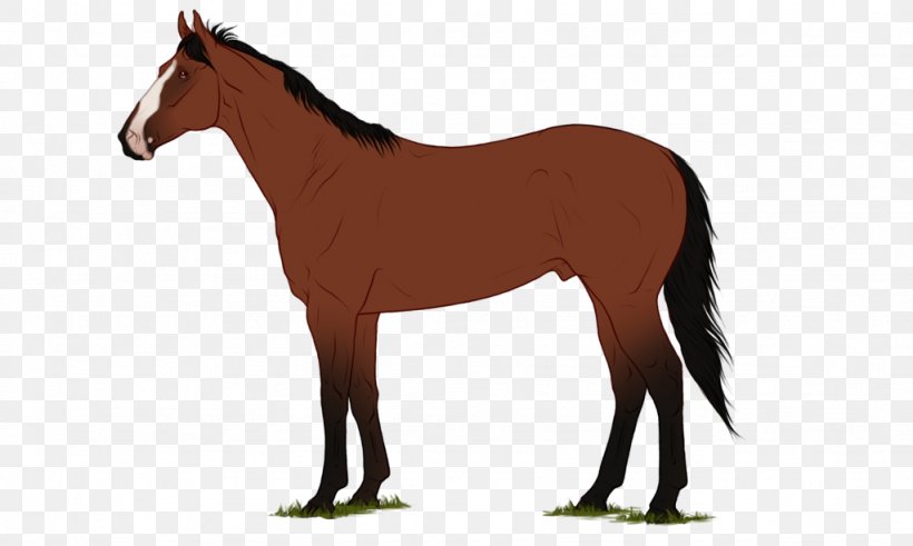 Mane Shetland Pony Mustang Foal, PNG, 1024x614px, Mane, Animal Figure, Bridle, Colt, Disease Download Free