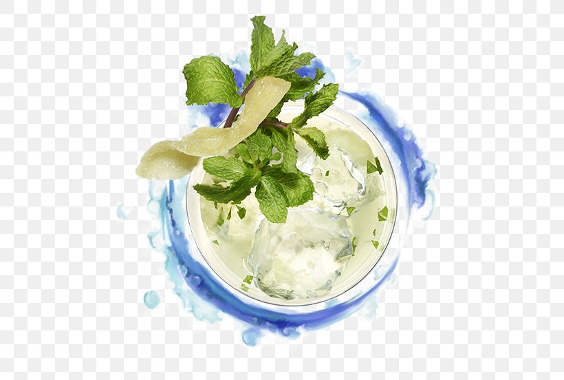 Mojito Mint Julep Cocktail Garnish Salty Dog, PNG, 552x552px, Mojito, Cocktail, Cocktail Garnish, Dairy Product, Dish Download Free