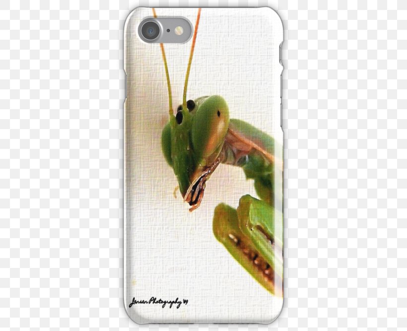 Apple IPhone 7 Plus IPhone X IPhone 5s IPhone 6S Snap Case, PNG, 500x667px, Apple Iphone 7 Plus, Amphibian, Apple, Fashion, Fauna Download Free