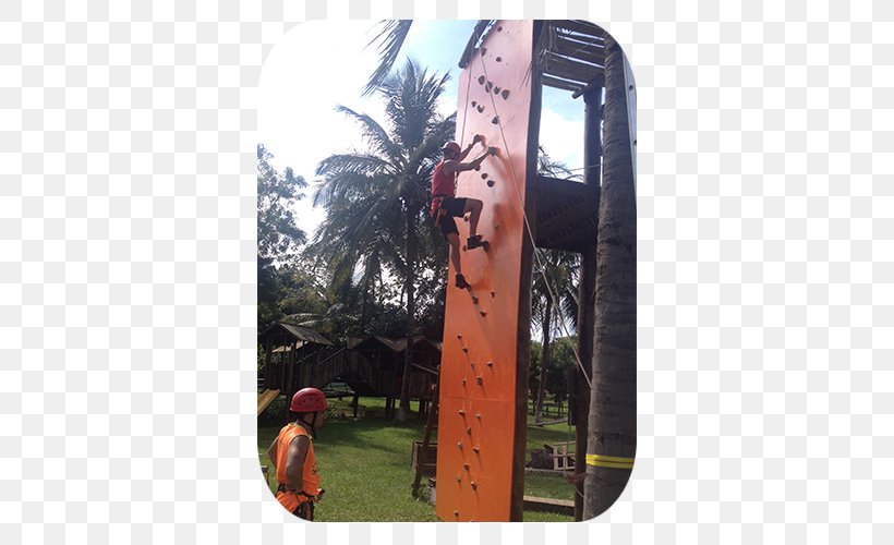 Climbing Partition Wall Bouldering Zip-line Adventure Park, PNG, 570x500px, Climbing, Abseiling, Adventure, Adventure Park, Adventure Travel Download Free