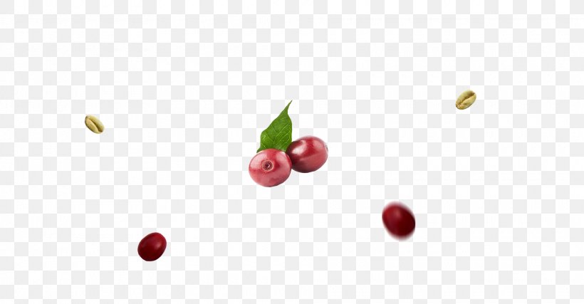 Cranberry Food Lingonberry Pink Peppercorn, PNG, 1920x1000px, Cranberry, Berry, Cherry, Closeup, Computer Download Free