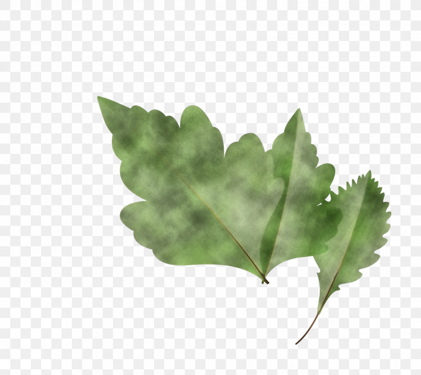 Maple Leaf, PNG, 2999x2676px, Autumn Leaf, Biology, Cartoon Leaf, Color, Computer Download Free