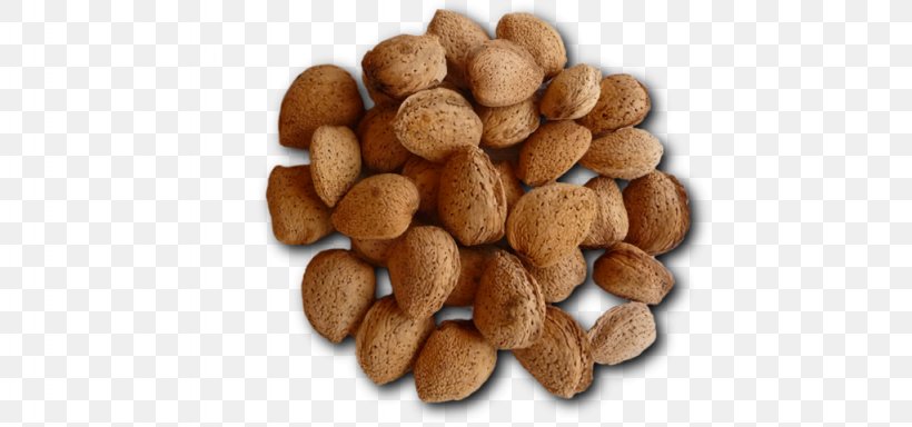 Mixed Nuts Tree Nut Allergy Peanut VY2, PNG, 1024x480px, Nut, Food, Ingredient, Mixed Nuts, Nuts Seeds Download Free