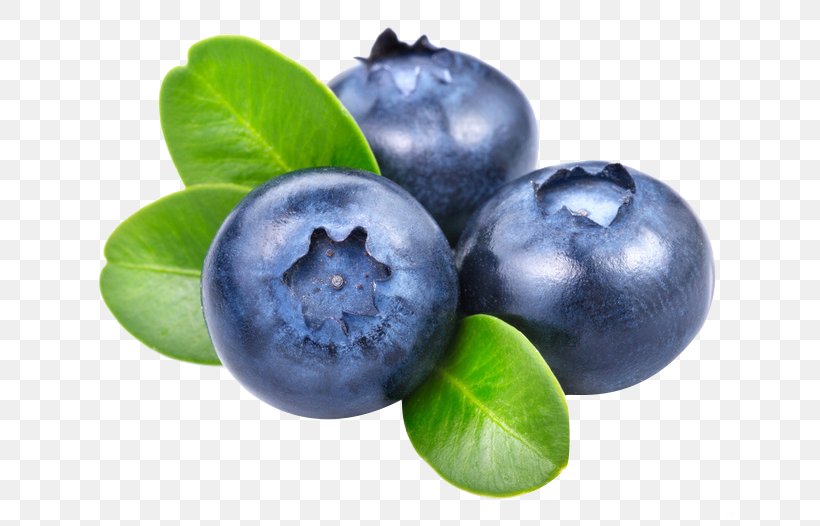 Smoothie Frutti Di Bosco Blueberry Vaccinium Angustifolium, PNG, 658x526px, Smoothie, Anthocyanin, Antioxidant, Berry, Bilberry Download Free
