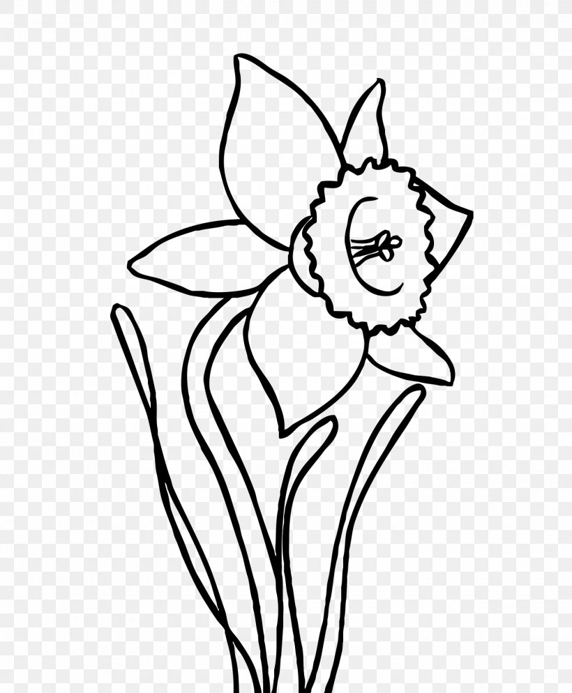 Coloring Book Drawing Narcissus Papyraceus Clip Art, PNG, 1450x1758px, Watercolor, Cartoon, Flower, Frame, Heart Download Free