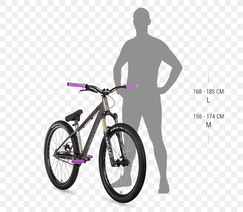 Stock Photography Royalty-free Illustration Image Vector Graphics, PNG, 800x717px, Stock Photography, Art, Bicycle, Bicycle Accessory, Bicycle Frame Download Free