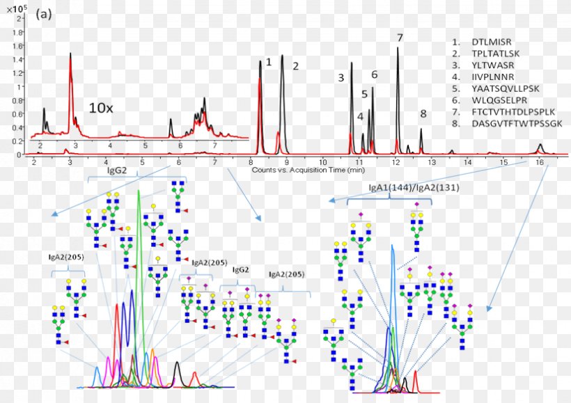 Glycan Glycomics Glycosylation Glycome Systems Biology, PNG, 827x584px, Glycan, Antibody, Area, Asparagine, Biochemistry Download Free