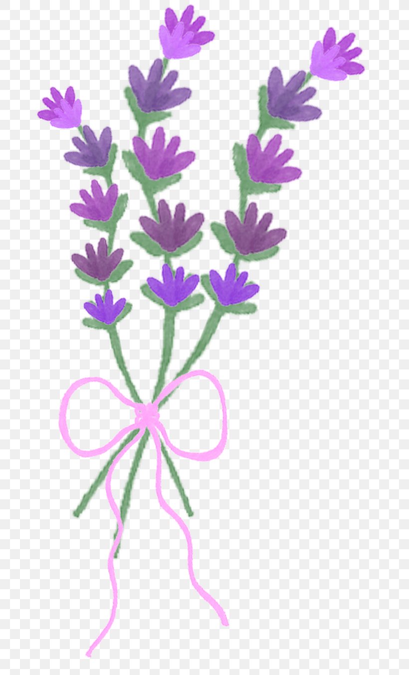 Lavender Plant Stem Herbaceous Plant, PNG, 684x1352px, Lavender, Flora, Flower, Flowering Plant, Herbaceous Plant Download Free