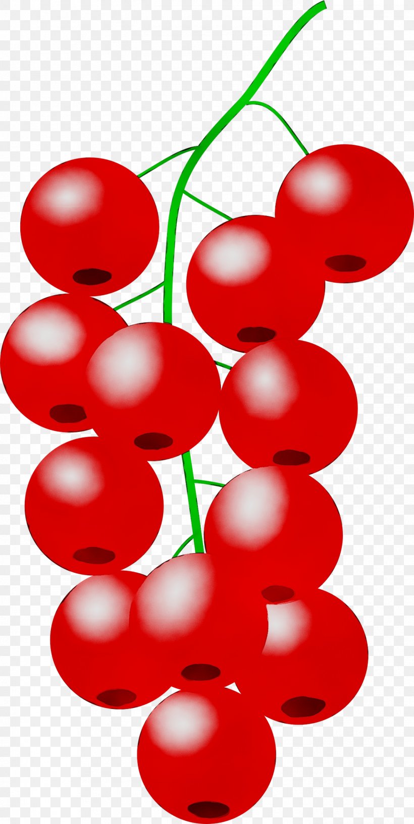 Clip Art Lingonberry Cherries Fruit Grape, PNG, 1373x2735px, Lingonberry, Berry, Cherries, Cherry, Currant Download Free