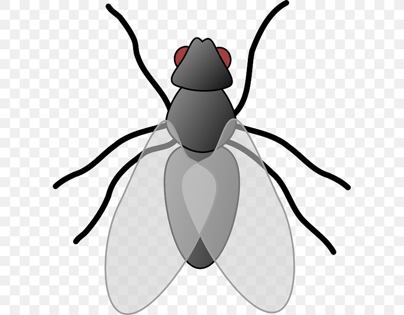 Clip Art Openclipart Free Content Vector Graphics Fly, PNG, 605x640px, Fly, Artwork, Beetle, Black And White, Document Download Free