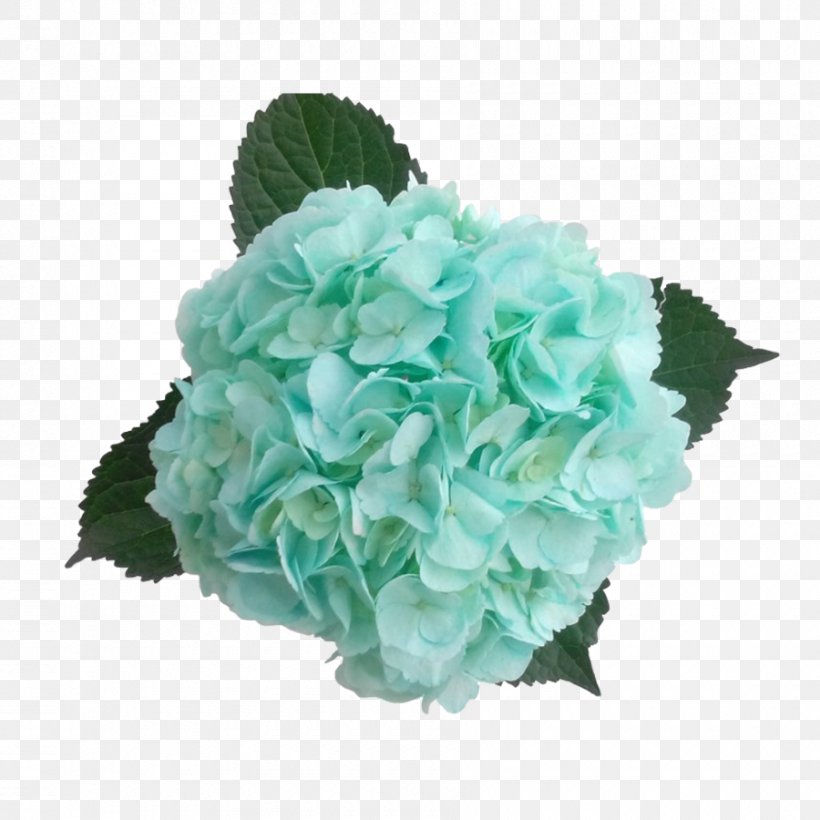 Hydrangea Cut Flowers Color Blue-green, PNG, 900x900px, Hydrangea, Aqua, Artificial Flower, Blue, Bluegreen Download Free